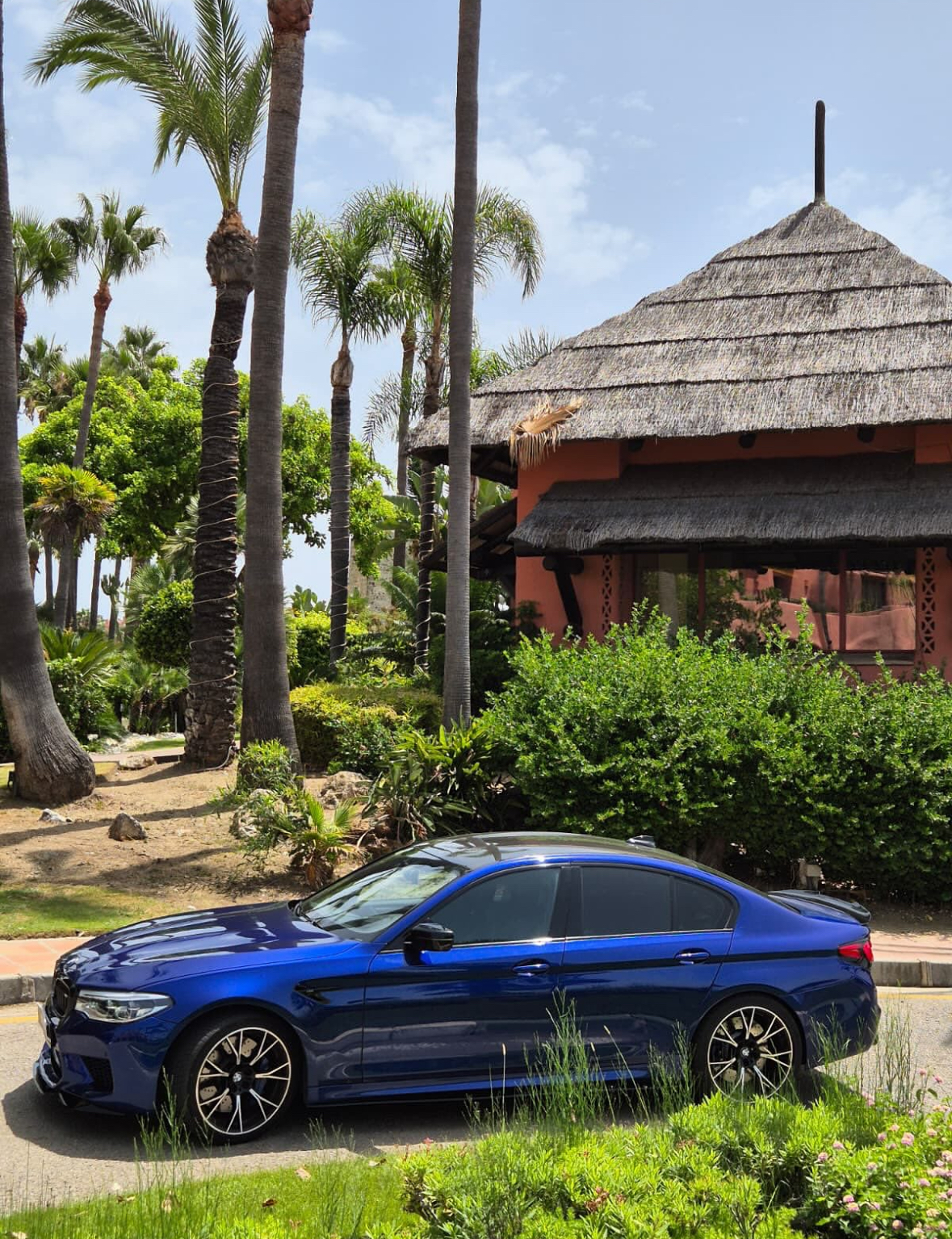 BMW M5 Rear